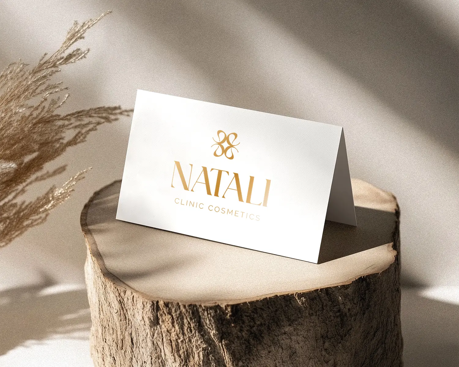 359046096_0ea52bd7-3e0b-40ה33-bdce-956ef1bae89d (1)